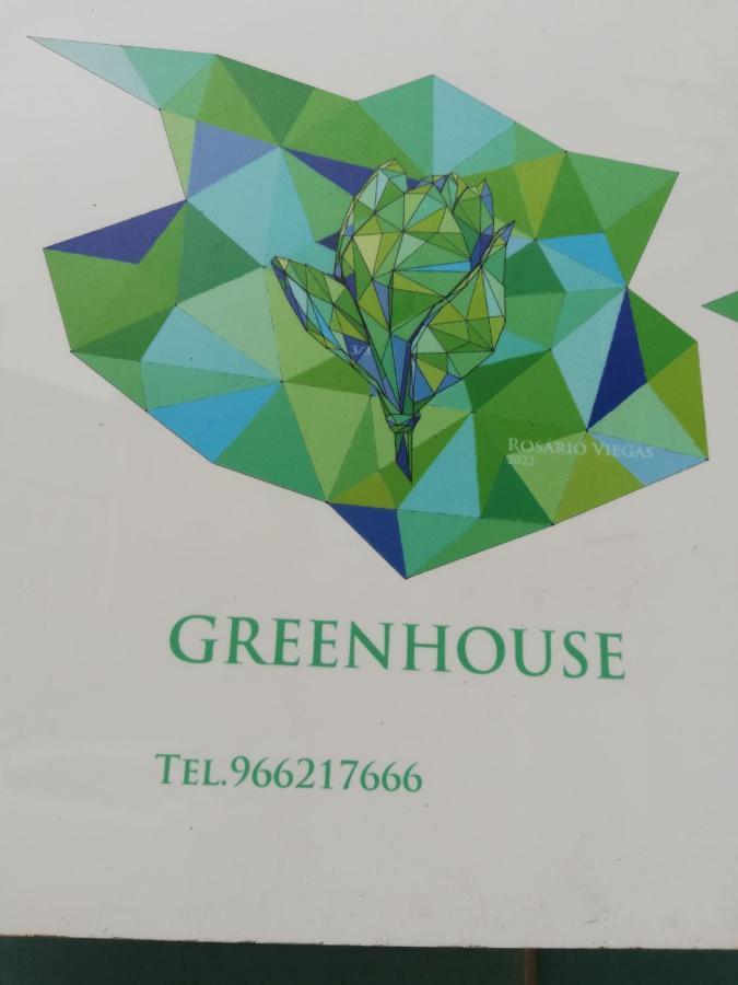 Green House Aveiro Extérieur photo